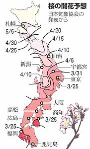 桜の開花予想の地図