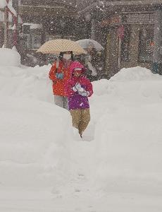 ＪＲ鳥取駅前の横断歩道が完全に雪に埋まった様子の写真