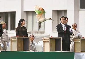 新潟県佐渡市で開かれた、特別天然記念物トキの野生復帰から１０年を祝う放鳥式の写真