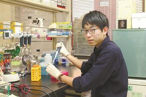 がんを引き起こすウイルスに化合物を加え、効果を調べる京都大学医学部3年の阪本哲紀さんの写真