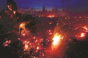 インドネシアの森林火災の写真