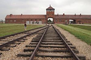 アウシュビッツ強制収容所跡に残る線路の写真