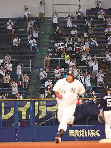 井上晴哉選手の本塁打を喜ぶロッテファンの写真