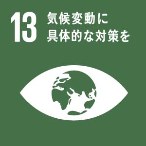 「13.気候変動に具体的な対策を」のロゴ