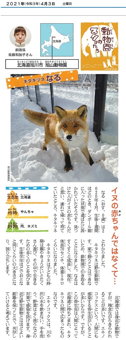 朝日小学生新聞の連載一覧