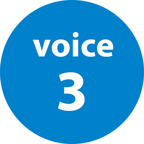 voice3